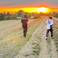 D 43PF (@bally433) 's Twitter Profile