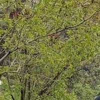 black (@ayakvecoraplar) 's Twitter Profile