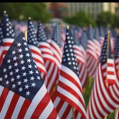 OsakpamwanC's profile picture. 🏦🏙📉💰🇺🇸 Navigating through this NFT / web3 /  metaverse  revolution. Builder, educator, collector Building the NFT world together 🚀