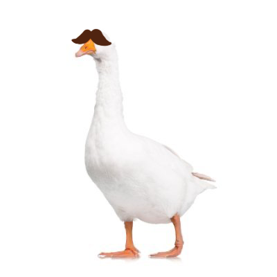 ITSDAAANNN's profile image