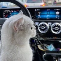 Amar (@amar47x) 's Twitter Profile