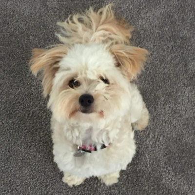 MollyFileman's profile picture. 