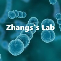 Zhang's Lab (@labzhangs) 's Twitter Profile Photo Zhang's Lab (@labzhangs) 's Twitter Profile Photo