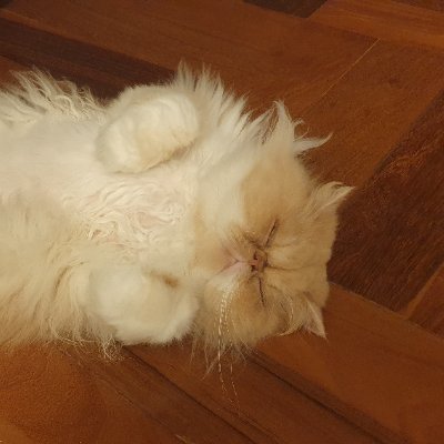 bbianchi6's profile picture. 