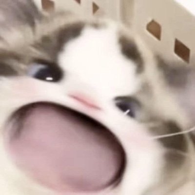 Lilsex08892600's profile picture. 