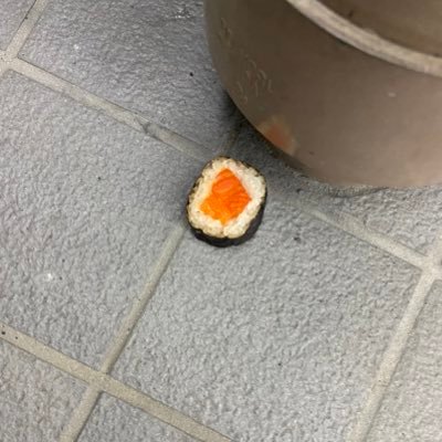 宮崎大学 農学部 trpgサークル所属