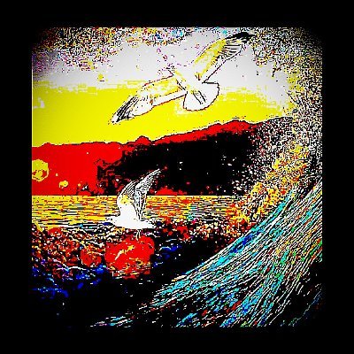 BilalAh10606730's profile picture. 