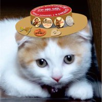 クルミ@北口和沙応援隊 (@miru622) 's Twitter Profile Photo