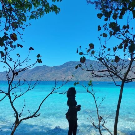 Siovtxx's profile picture. 