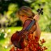 Amanda Favier (@favieramanda) Twitter profile photo