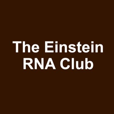 Einstein_RNA's profile picture. The Einstein RNA Club hosts in-person & virtual RNA meetings at @EinsteinMed. We welcome all #RNA enthusiasts to participate and present their research.