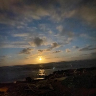 Aloha96746808's profile picture. 