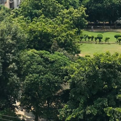 HumanReplies's profile picture. 