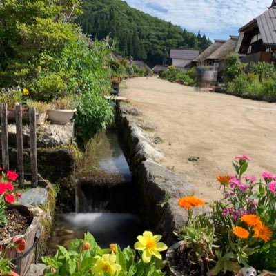 Gx9k7X's profile picture. ポイ活、懸賞初心者主婦✌️