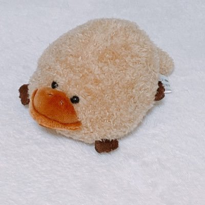 霜降りさんのプロフィール画像