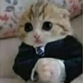 Hmmmmmm?
Hmmmmmmm...
Hm!