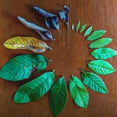 SeanDic79174724's profile picture. simple and easy going small guy 😎😎7