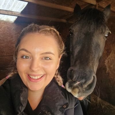 megixo's profile picture. 