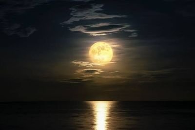 hidayatIshak04's profile picture. 