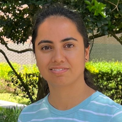 neelumadan's profile picture. Ph.D @ Aalborg University