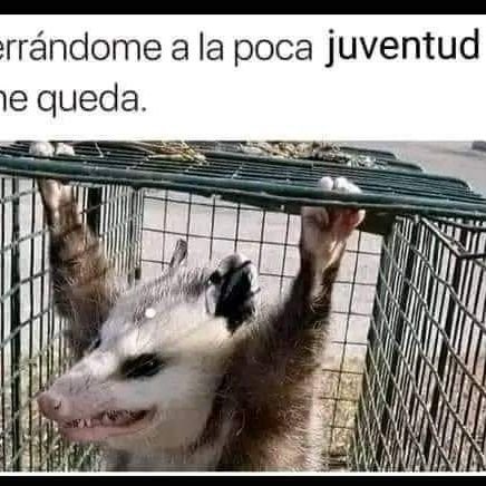 Ta cabrón!!!