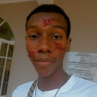 Fee Swerg (@fee_swerg) 's Twitter Profile