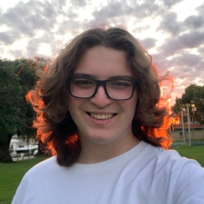 wylynko's profile picture. Aussie 🇦🇺 abusing typescript daily @clerkdev
