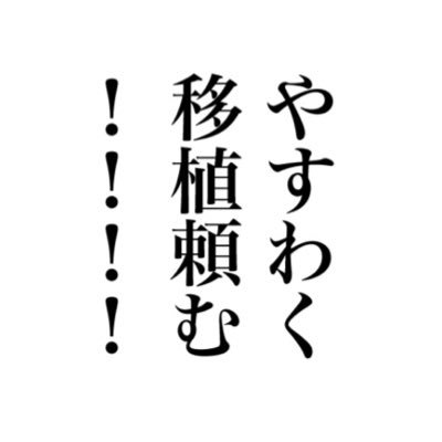 しいぎさんのプロフィール画像