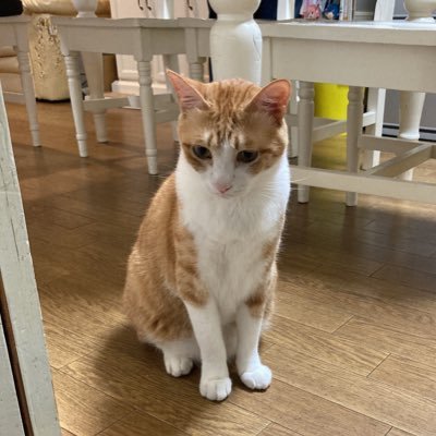 0628_earth's profile picture. 