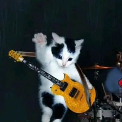 AbyssalFishさんのプロフィール画像