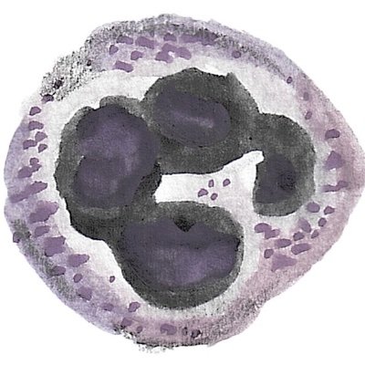 Neutrophil Biology Lab Profile