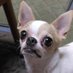 🐶暁🐮02チョリ沢ニコムー【ニコ】☺👶🧄🌷🐇🎀🥎⬅カープレッド (@3758hi) Twitter profile photo 🐶暁🐮02チョリ沢ニコムー【ニコ】☺👶🧄🌷🐇🎀🥎⬅カープレッド (@3758hi) Twitter profile photo