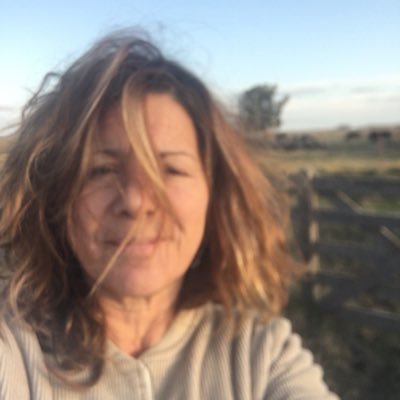 RoccaTere's profile picture. 41 años de Malvinas. Espacio en construcción permanente y casi sin certezas. Por ahora me gusta pensar en que el poder le teme a la belleza y ya.