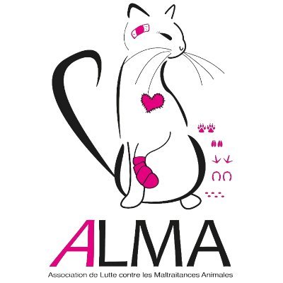 Association de Lutte contre les Maltraitances Animales
📍 Royan, Charente-Maritime
🚨 Sauvetages + adoptions 🐈🐕🐇🐁
❤️‍🩹 Sensibilisation au bien-être animal