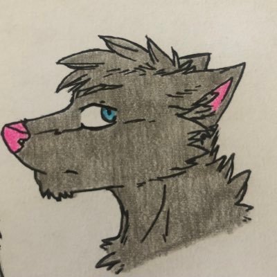 Hi | Gay Furry | South Africa | Avid Gamer | Learning Digital Art | Currently Writing A Book |
