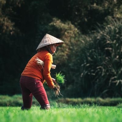 JacobGa22461585's profile picture. Not seen since July 2021!