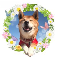 さくらんぼ (@watasino_tennsi) 's Twitter Profile Photo さくらんぼ (@watasino_tennsi) 's Twitter Profile Photo