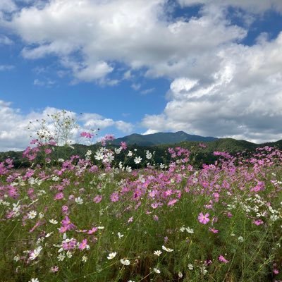 旅行やお散歩好き🚶‍♀️ 最近はお散歩しながら、御朱印帳を集めています。😄 今後は御朱印巡りに加えて、美味しそうお店を見つけたいです！ #フォロバ💯#相互フォロー　 不審な垢、DM垢、エロ垢はNG