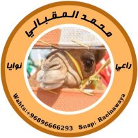 محـمد المـقـبالي راعي نـوايا (@moh96666293ammd) 's Twitter Profile