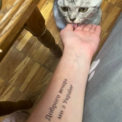 marmelad0512's profile picture. зоолог