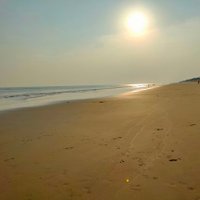 Biswa (@biswa_sci_1) 's Twitter Profile