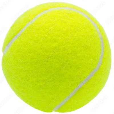 turtle_neck123's profile picture. 