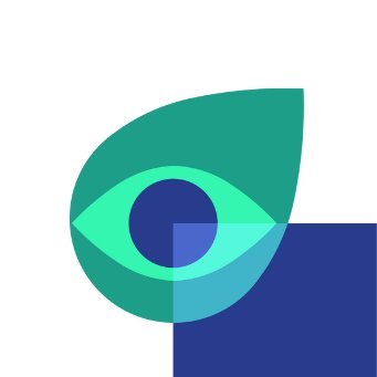 Carbon Market Watch Profile