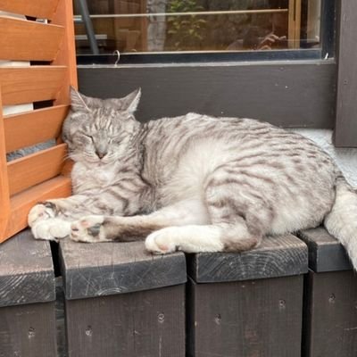 GUSHIさんのプロフィール画像