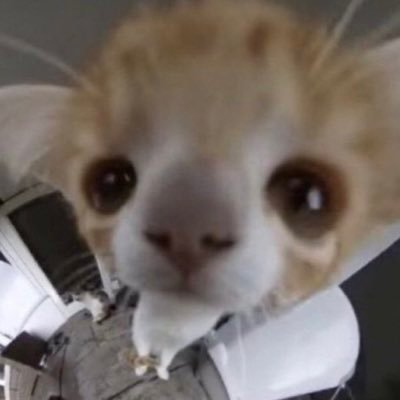 넯さんのプロフィール画像