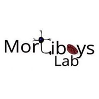MortiboysLab (@mortiboyslab) 's Twitter Profile Photo MortiboysLab (@mortiboyslab) 's Twitter Profile Photo