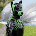 RubberCorg (@rubbercorg) Twitter profile photo RubberCorg (@rubbercorg) Twitter profile photo