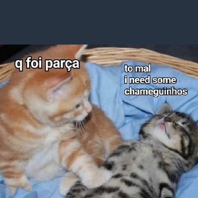 fazer dinheiro e fumar baseado 
felicidade nos corre atrás depois