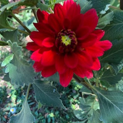 templier04's profile picture. 