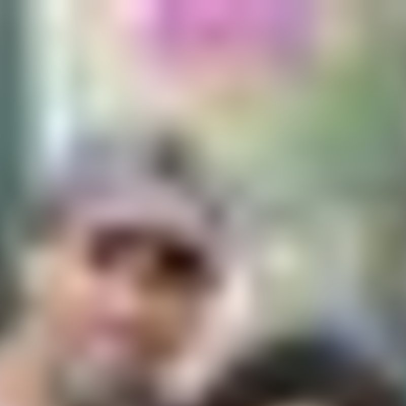 leonaas_TD's profile picture. Senior Private Banker, Business Owners at TD Wealth Private Banking
/*********/
https://t.co/aBeIM2O9Ml et https://t.co/XMkmf049GH